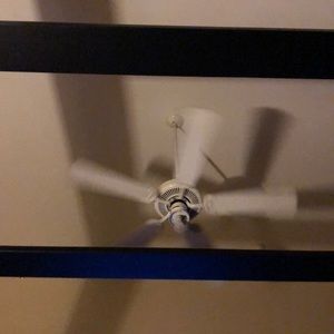 Meet your Posher, Will